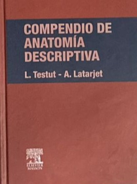 Compendio de anatomía descriptiva / Tapa Dura