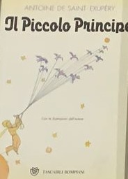 Il Piccolo Principe